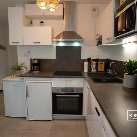 Riboleys - T2 Avec Clim Wifii Et Piscine * 维亚斯