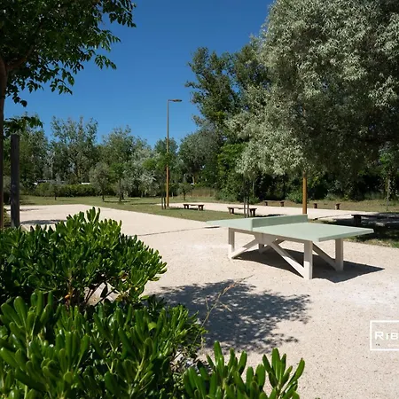 Riboleys - T2 Avec Clim Wifii Et Piscine *